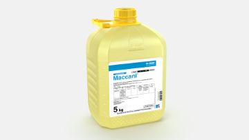 basf maccani
